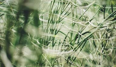 Conas amulet dea-ádh a dhéanamh le do lámha féin