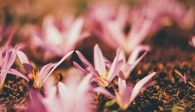 conas a dhéanamh amulet luck maith le do lámha féin